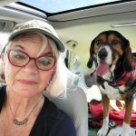 Dolores Rogers Avatar